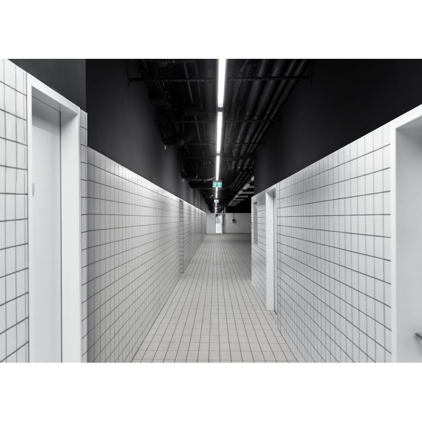 Luminaire industriel fluorescent LIMEA MINI LED/36W/230V IP65 4000K 1200 mm