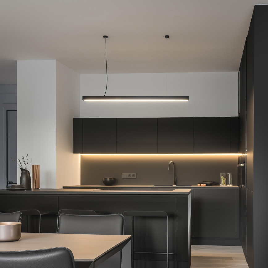 Luminaire LED de plafond CYNIDECO, montage en applique ou suspendu, LED/12W/230V, 4000K, noir