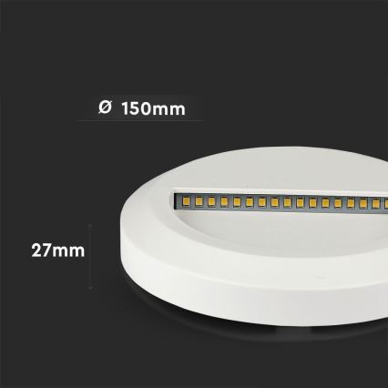 Luminaire LED pour escalier extérieur LED/2W/230V IP65 4000K blanc
