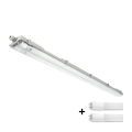 Luminaire LED technique T8 2xG13/18W/230V 6500K IP65 127 cm