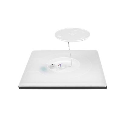 Luminaire de salle de bains avec détecteur de mouvement et crépusculaire NIVERA LED/12W/230V IP54 3000/4000/6000K 22,5x22,5 cm noir + Télécommande