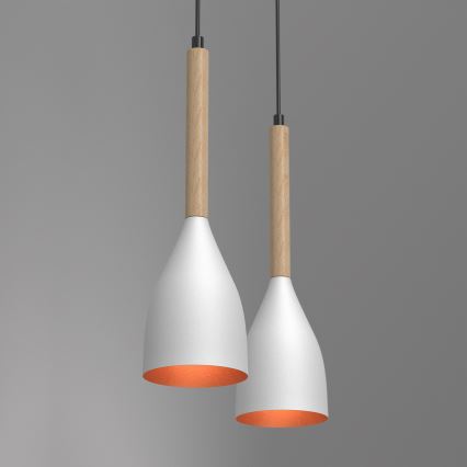 Lustre avec fil MUZA 2xE27/60W/230V