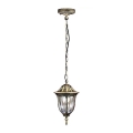 Lustre extérieur FLORENCJA 1xE27/20W/230V IP43