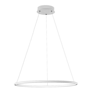 Lustre LED avec fil ORION LED/22/230V
