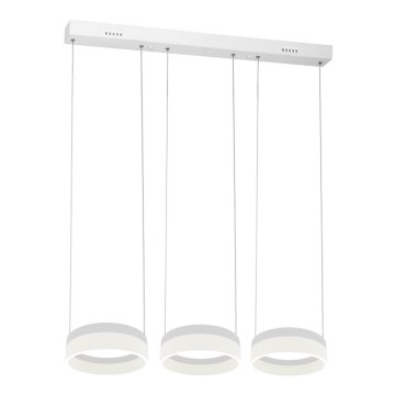 Lustre LED avec fil RING 3xLED/12W/230V