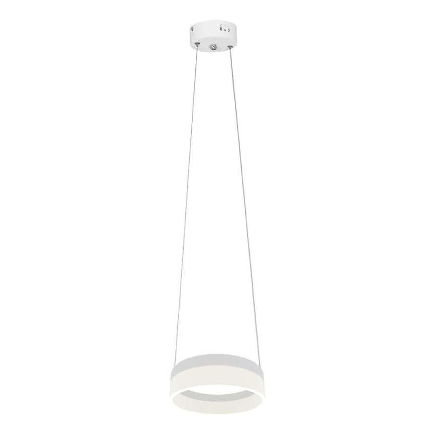 Lustre LED avec fil RING LED/12W/230V