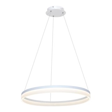 Lustre LED avec fil RING LED/36W/230V