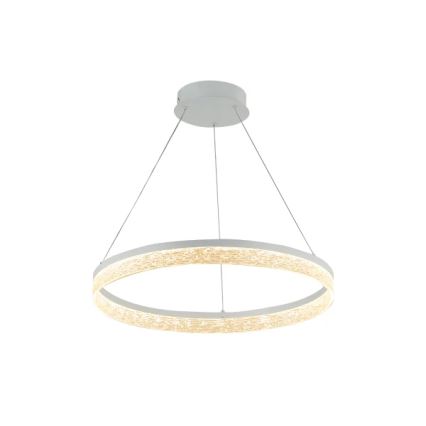 Suspension LED dimmable sur câble ALIANZ LED/60W/230V 3000–6000K Ø 80 cm + télécommande