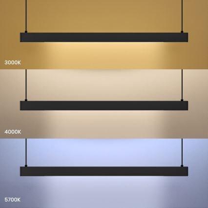 Lustre LED LINEA sur câble, 36 W, 230 V, 3000/4000/5700 K, IRC 90, noir