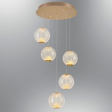 Lustre LED sur câble CREMONA 5xLED/5W/230V 3000K doré