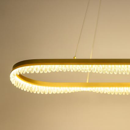 Lustre LED sur câble LED/45W/230V doré
