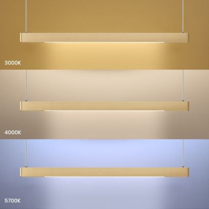 Lustre LED suspendu sur câble LINEA LED/36W/230V 3000/4000/5700K IRC 90 doré