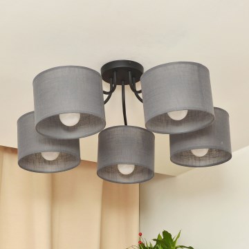 Lustre plafonnier ALBA 5xE27/15W/230V gris