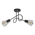 Lustre plafonnier OXFORD 2xE27/15W/230V