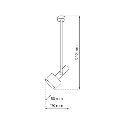 Lustre sur barre LINTERNA 1xGX53/12W/230V noir