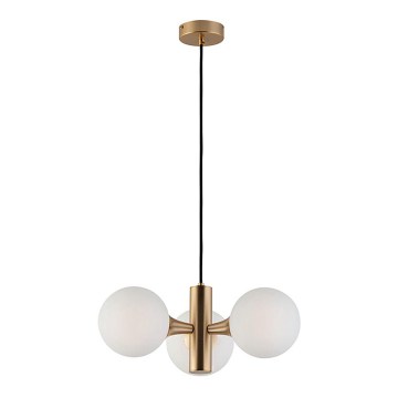 Lustre sur câble GLOBE 3xE14/7W/230V doré