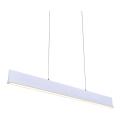 LUXERA 18414 - Suspension LED dimmable sur câble OBLO LED/30W/230V