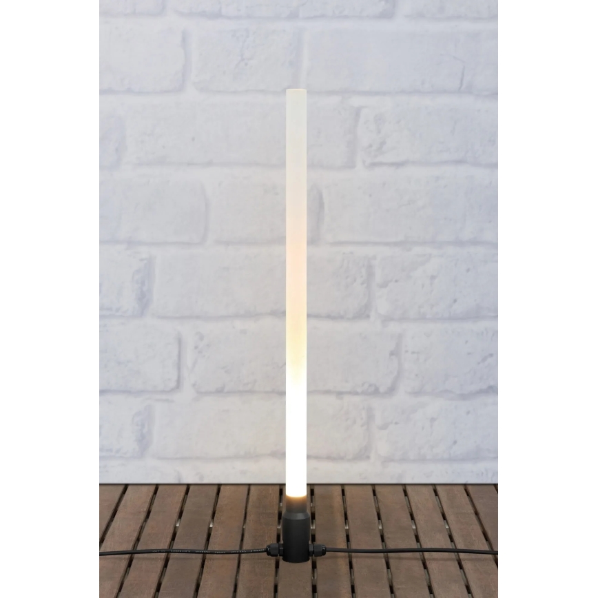 Markslöjd 107719 - Lampe d'extérieur LED GARDEN24 LED/3W/24V 57,5 cm IP44 noir/transparent