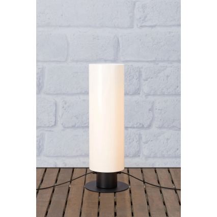 Markslöjd 107985 - Lampe d'extérieur GARDEN24 LED/12W/24V 70 cm IP44 noire