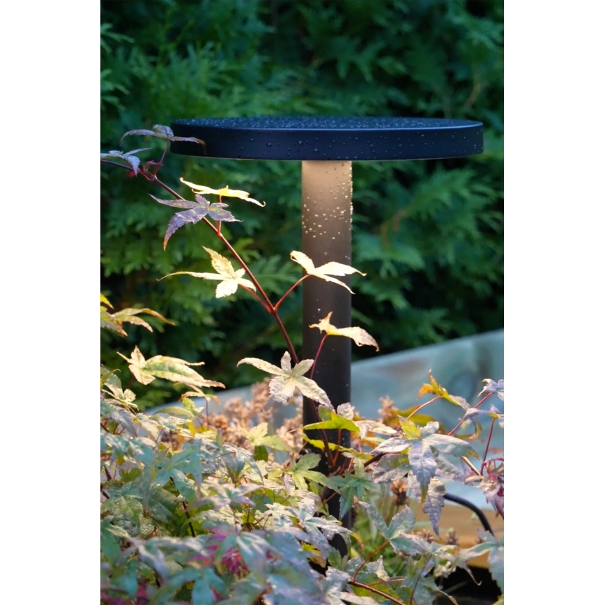 Markslöjd 108173 - Luminaire extérieur LED GARDEN24 LED/5W/24V 75 cm IP44 noir