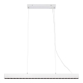 Markslöjd 108892 - Suspension dimmable sur câble PLANO LED/38W/230V blanche