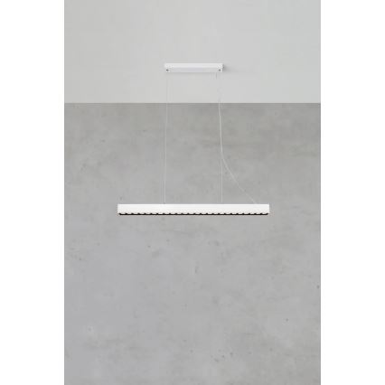 Markslöjd 108892 - Suspension dimmable sur câble PLANO LED/38W/230V blanche