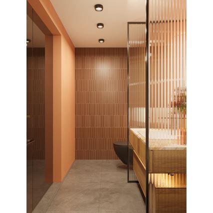 MAXLIGHT C0204 - Plafonnier salle de bain KODAK LED/8W/230V d. 10,8 cm IP44 noir