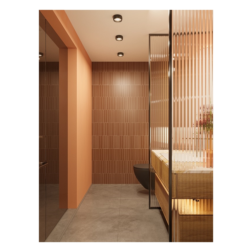 MAXLIGHT C0204 - Plafonnier salle de bain KODAK LED/8W/230V d. 10,8 cm IP44 noir