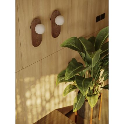 MAXLIGHT W0476 - Applique murale POINT 1xG9/7W/230V brune