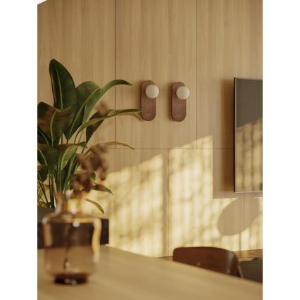 MAXLIGHT W0476 - Applique murale POINT 1xG9/7W/230V brune