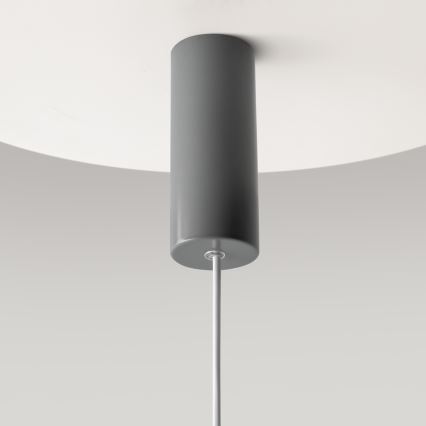 Maytoni MOD189PL-L12GR3K1 - Suspension sur câble GERHARD LED/19W/230V Ø 30 cm gris