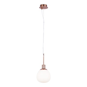 Maytoni MOD221-PL-01-G - Suspension filaire ERICH 1xE14/40W/230V cuivre