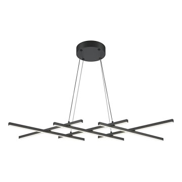 Maytoni MOD244PL-L50BK - Suspension LED sur câble HALO LED/40W/230V noir