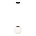 Maytoni MOD321PL-01B1 - Suspension filaire BASIC 1xE14/40W/230V noir