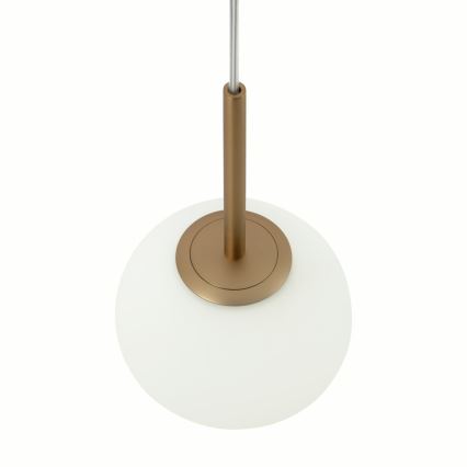 Maytoni MOD321PL-01G1 - Suspension filaire BASIC 1xE14/40W/230V doré