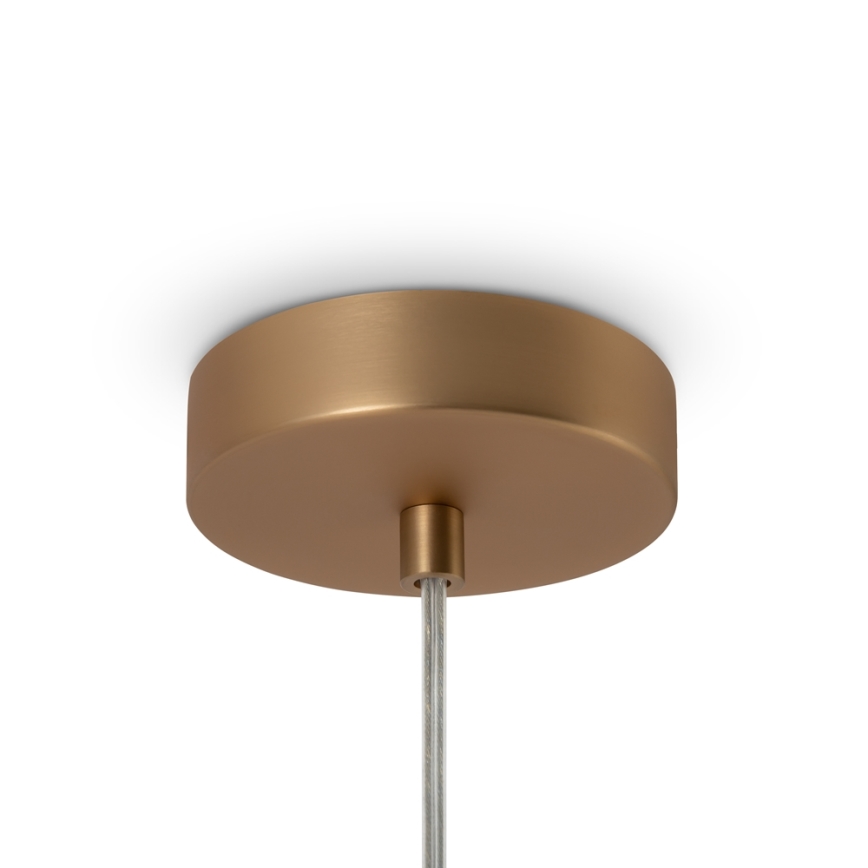 Maytoni MOD321PL-01G1 - Suspension filaire BASIC 1xE14/40W/230V doré
