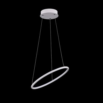 Maytoni MOD807-PL-01-24-W - Lustre LED avec fil NOLA LED/24W/230W