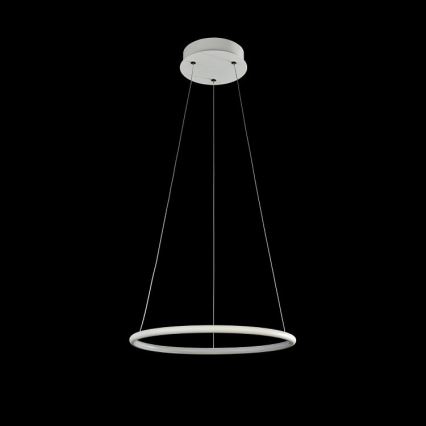Maytoni MOD807-PL-01-24-W - Lustre LED avec fil NOLA LED/24W/230W