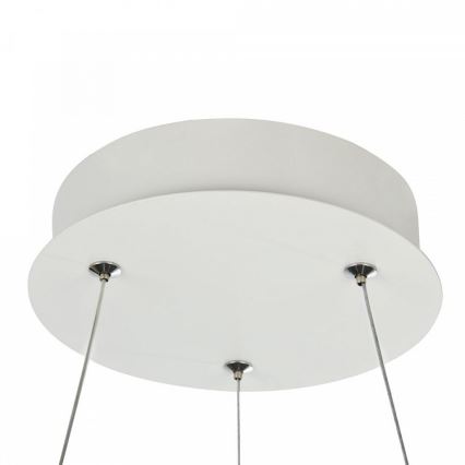 Maytoni MOD807-PL-01-24-W - Lustre LED avec fil NOLA LED/24W/230W