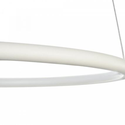 Maytoni MOD807-PL-01-24-W - Lustre LED avec fil NOLA LED/24W/230W