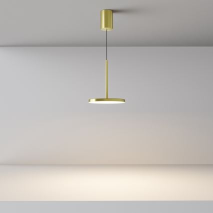 Maytoni P076PL-L12W3K-BS - Suspension filaire PLATO LED/12W/230V 3000K doré