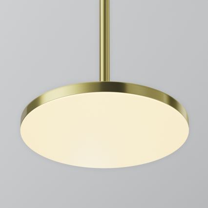 Maytoni P076PL-L12W3K-BS - Suspension filaire PLATO LED/12W/230V 3000K doré