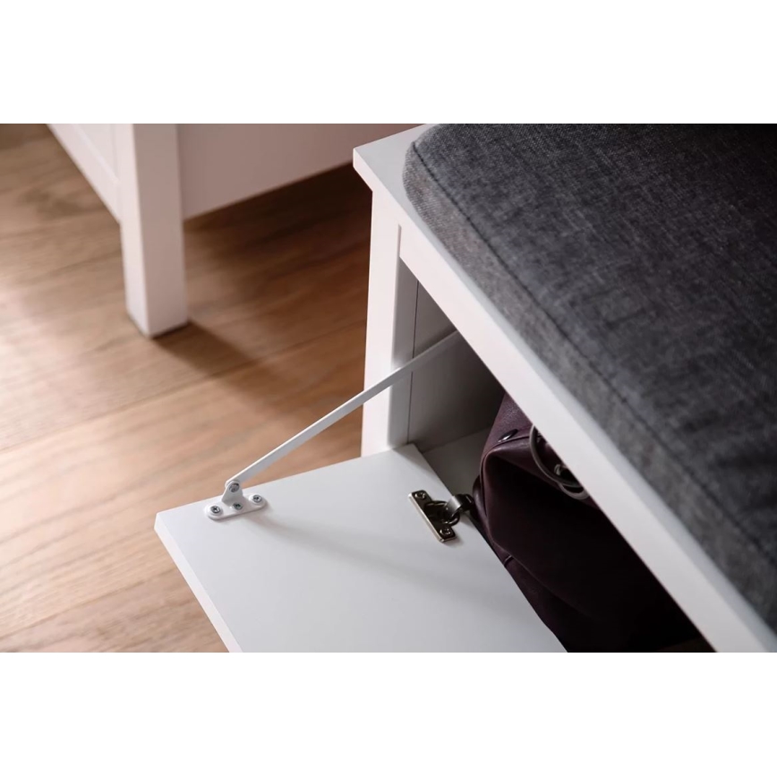 Meuble à chaussure FARGE 45x91 cm blanc