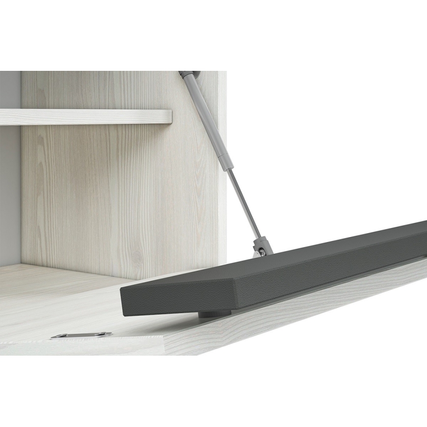 Meuble à chaussures CALLA 47x50 cm blanc/gris