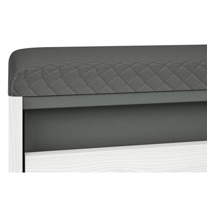 Meuble à chaussures CALLA 47x50 cm blanc/gris