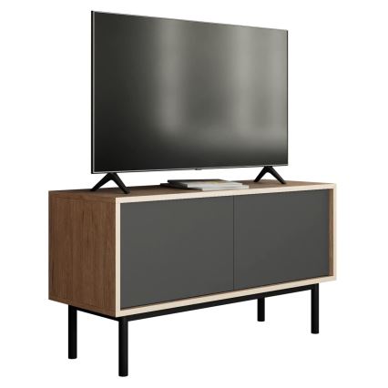 Meuble TV BASIC 57x104 cm chêne Jackson hickory/anthracite