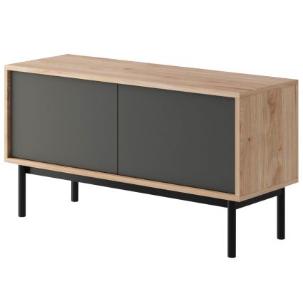 Meuble TV BASIC 57x104 cm chêne Jackson hickory/anthracite