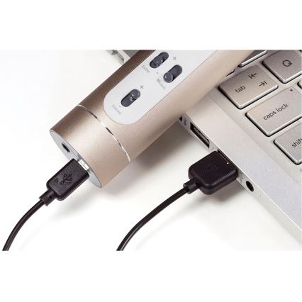 Microphone karaoké Bluetooth 6W/5V 1500 mAh, doré