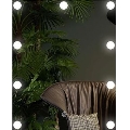Miroir avec éclairage 9xLED/1W/230V 3000/4000/6000K 50x40 cm IP44