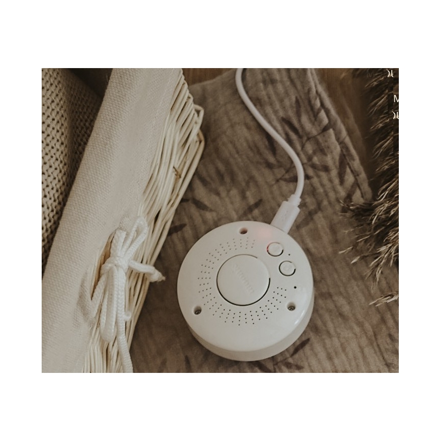 Moonie - Doudou avec mélodie et lumière lapin powder